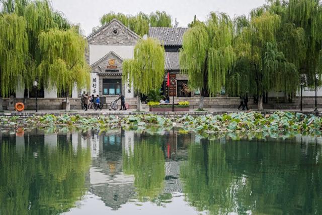 浮光掠影“大明湖”| 我在济南刚刚好