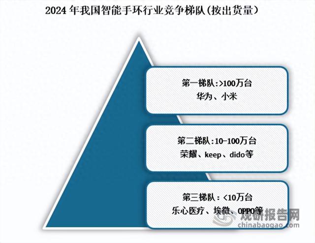 我国智能手环行业市场呈“双寡头”格局 小米、华为份额排名前二