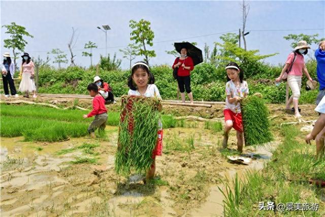 五一假期去哪儿？佛山紫南首届农耕文化节邀您共赴田园之约