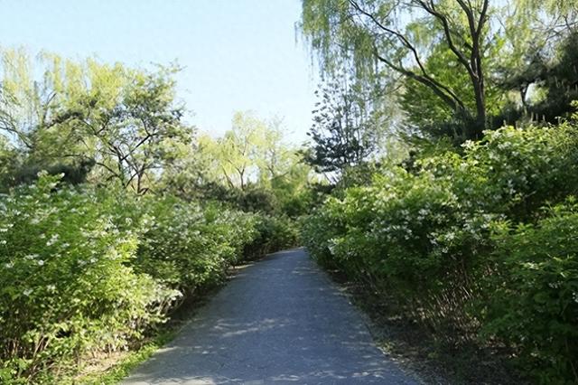 联题怀柔乡土植物科普园翠丰亭及赏析