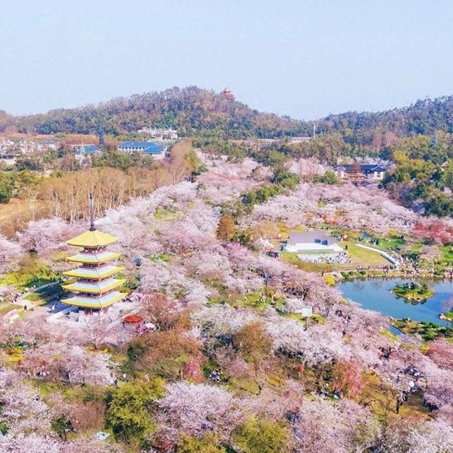 中国最美春光！踏春游春十个最佳去处