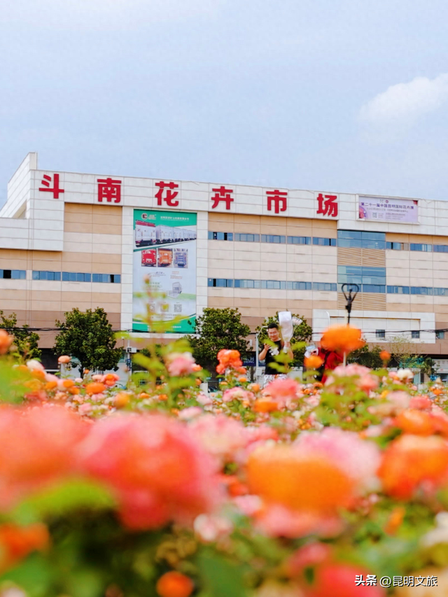 假期最后一天，留给斗南！好吗？把新年浪漫打包回家！