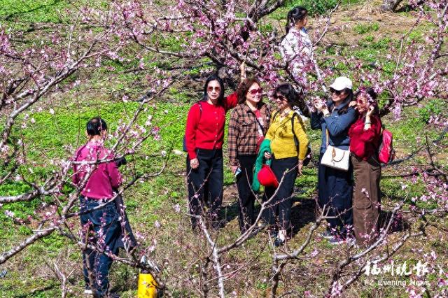连江“桃花源”出圈 吸引不少市民来赴这场春日之约