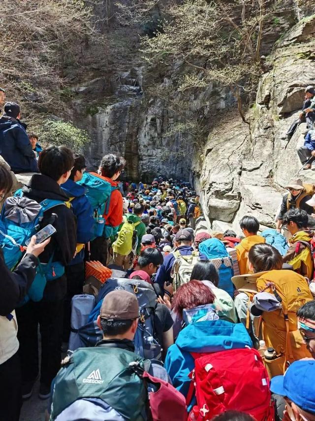 清明徒步大军“堵死”南太行，驴友称两个多小时才走2公里，当地领队：民宿已爆满，建议错峰上山