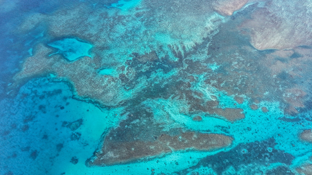 第一个支持日本的国家出现，菲方与日方军演，在黄岩岛挑衅中国？