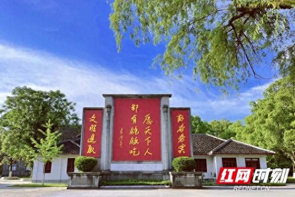 文艺大咖怀化行丨唐树清:风吹稻菽千重浪