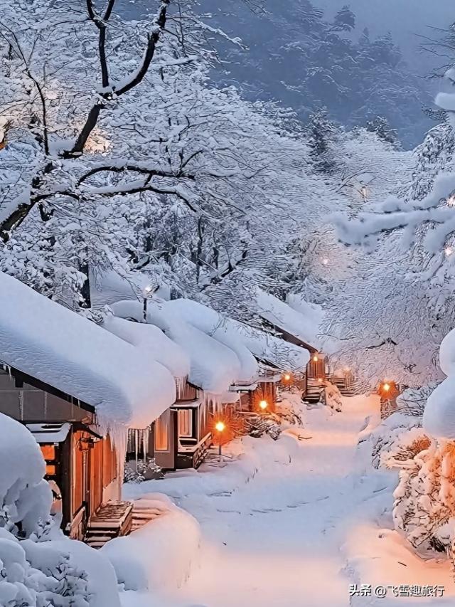 国内十二月出游攻略：五大精选目的地，带你尽享冬日绝美风情