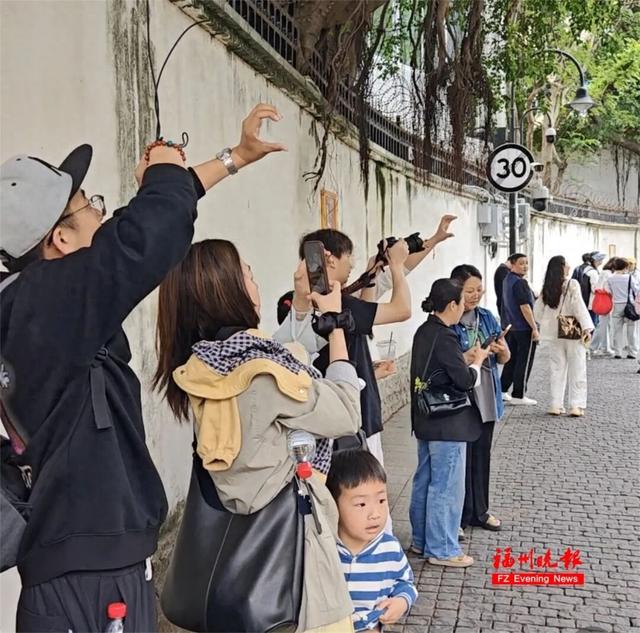 突然爆火！就在福州市中心！很多人从外地赶来打卡