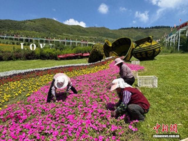 （活力中国调研行）青海东部小村观“花海”走“花路”