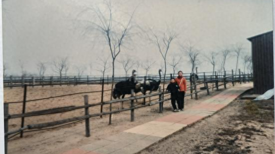 3.0时代开启！临沂动植物园焕新重塑，打造城市生态新地标