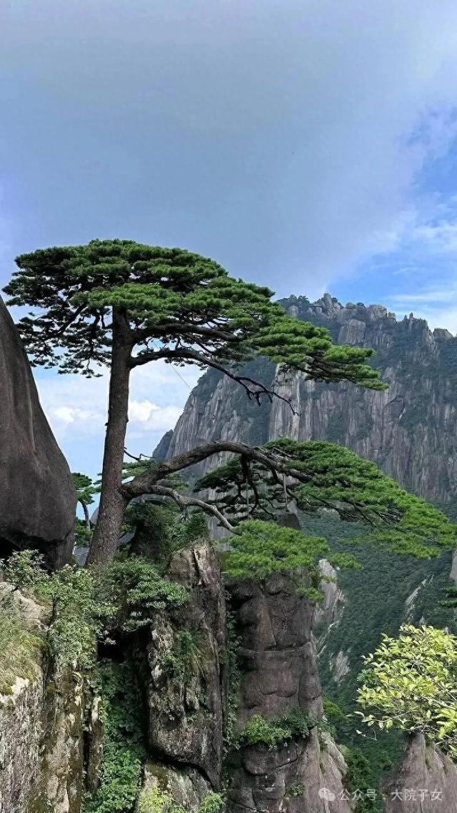 学文｜《黄山游之二》