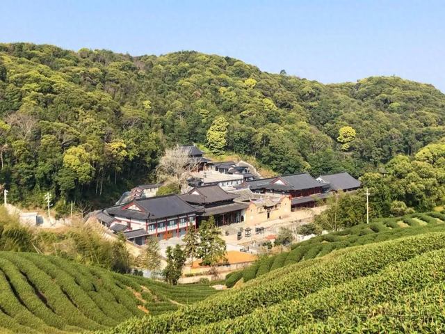 是时候出发了！目的地→瑞云村