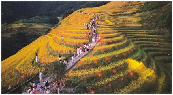 龙胜“双节”乡村游热力十足