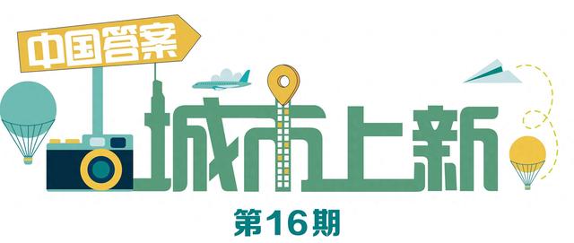 冬日青岛“追鸥逐浪”的N种可能