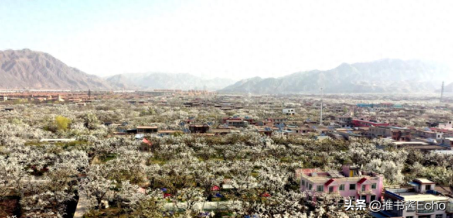 37公里S103打通兰白沿黄闭环 7大景区解锁一日全体验