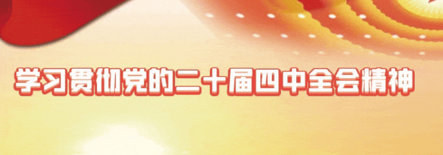 成安银杏正黄，邀卿与我共赴，不负今秋！错过再等一年！