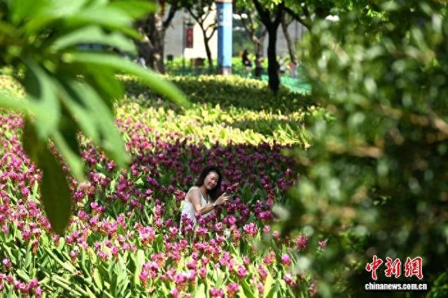 福州：民众户外漫步乐享假期