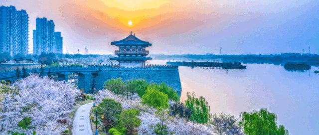 【文化瀍河】白马寺：见证丝路千年的文明对话