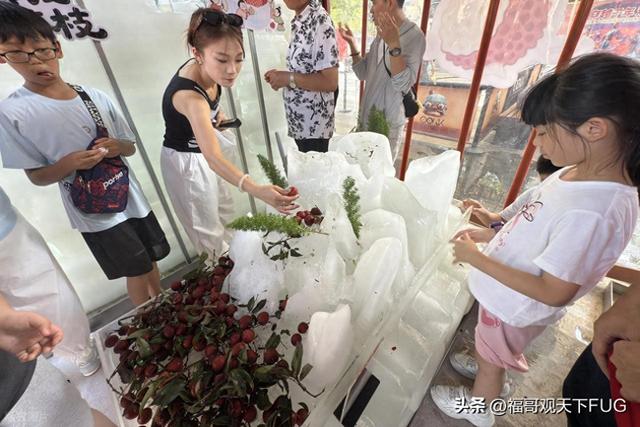 西安永兴坊荔枝免费吃