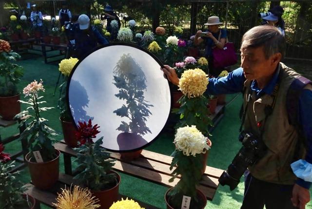 国家植物园“花”式迎国庆