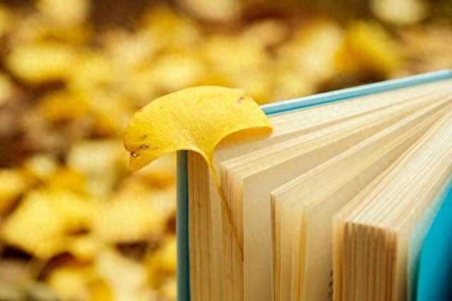 会讲话是一种能力！