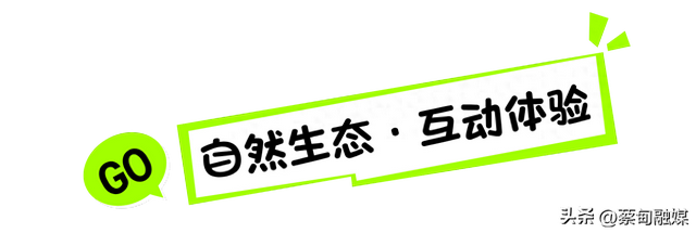 收藏这篇就够了！蔡甸索河小众玩法超全解锁