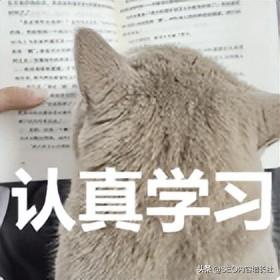 技术支持 第8页