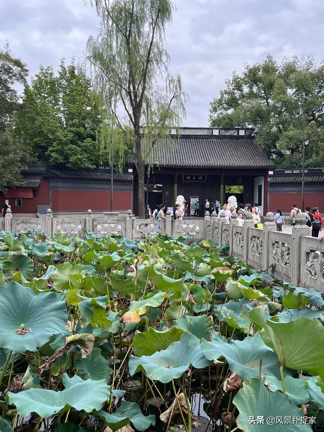 杭州西湖，秋天风景美如画