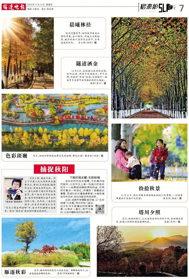 宿来拍丨捕捉秋阳