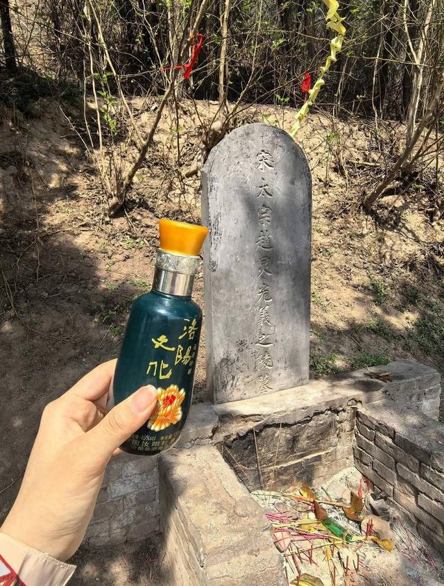 从“洛阳上坟指南”到“太平年下一杯热酒” 年轻人为何热衷为古人扫墓？｜文化中国行