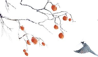 武汉又要下雪了！最低温将跌至-3℃