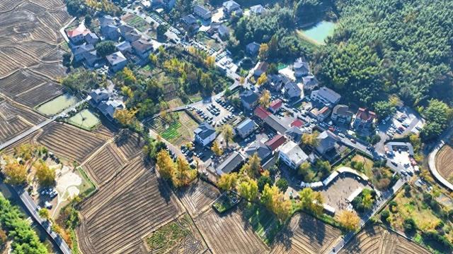 人人人车车车！富阳一地迎来大客流，太赚了！