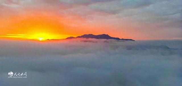 天水白音山：云海绘就水墨梦，诗意治愈尘世人！