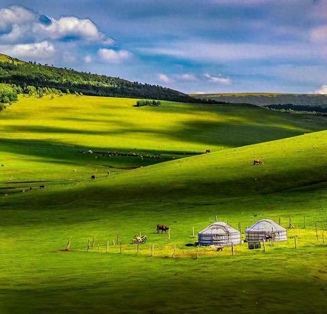 燕南赵北‖光影草原