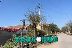不是本村户口的村民购买本村宅基地会有怎么样的后果图片