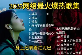2025网络最火爆热歌集，土坡上的狗尾草，莫回头快走图片