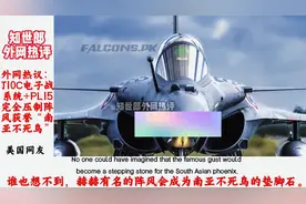 外网热议：J10C击败阵风获誉“南亚不死鸟”韩国网民不服了图片