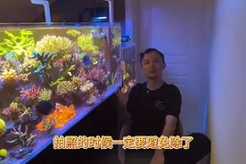如何拍出最美海缸#水族爱好者图片