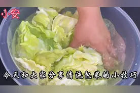 活了30年才知道，包菜千万不能用清水洗，等于在吃虫卵脏东西！图片