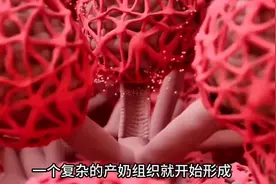 母乳是如何产生的？你知道吗？图片