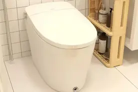 智能马桶好用吗？能把屁屁冲洗干净吗？卫生吗？冲洗完还要...图片