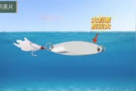 路亚技巧15：亮片的种类、特点和适用鱼种，含水下泳姿视角图片