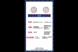 正常卵巢和多囊卵巢的区别图片