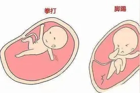 四个月的胎儿会动吗？图片