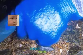 猪猪夜里来抽大坑，全是白天碰不到的稀奇货，400一斤的...图片