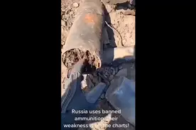 暴雨梨花针图片