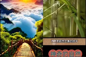 十个字讲了“丁”的一生图片