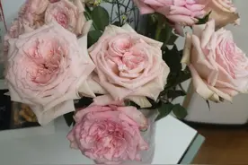 女朋友突然把朋友圈三天可见改为了半年，是什么心理，之前...图片