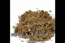 每日中药—积雪草 清热解毒、清热利湿、祛瘀止痛图片