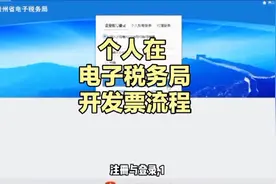 个人在电子税务局开发票流程图片